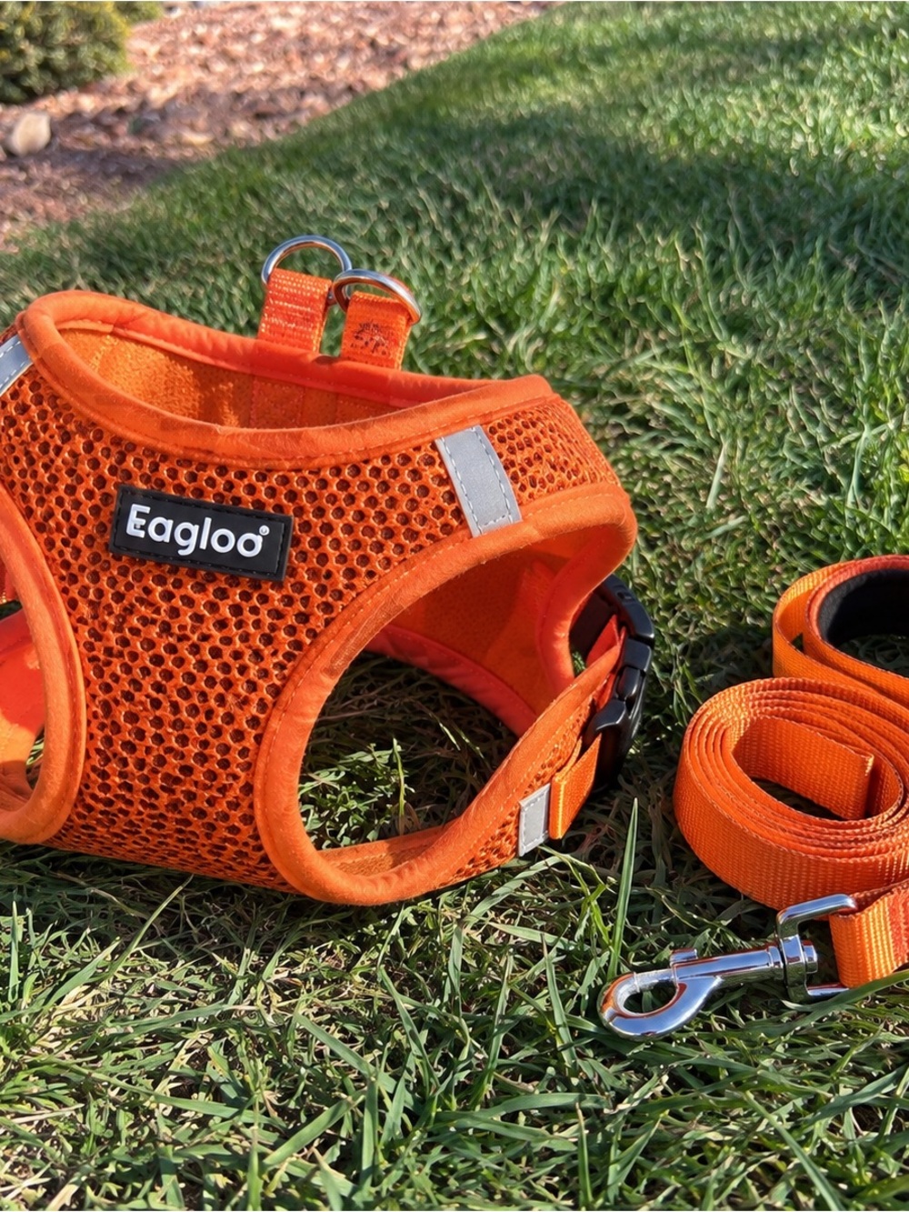 Orange Breathable Mesh Dog Harness with Matching Leash